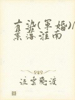 有染(军婚)/叶落淮南