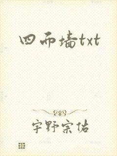 四面墙txt