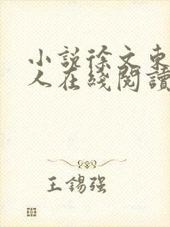 小说徐文东林依人在线阅读全文