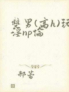 双男(高h)玩淫np伦