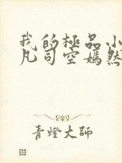 我的极品小姨叶凡司空嫣然封面