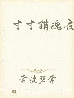 寸寸销魂夜春光