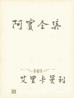 阿宾全集封面