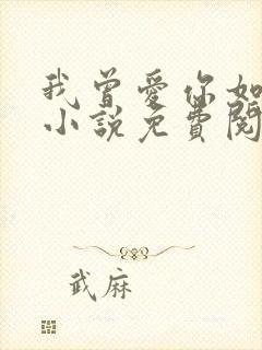 我曾爱你如尘埃小说免费阅读全文