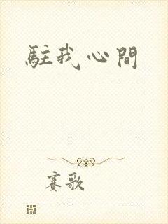 驻我心间封面