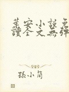 叶安小说免费阅读全文无弹窗封面