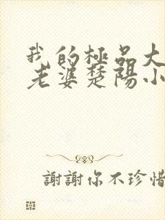 我的极品大小姐老婆楚阳小说阅读