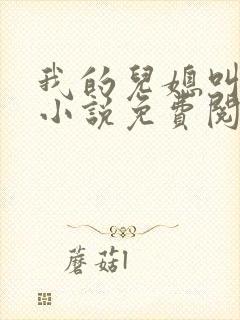 我的儿媳叫艳玲小说免费阅读全文最封面