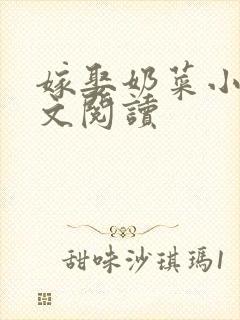 嫁娶奶菜小说全文阅读