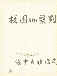 校园sm系列h封面