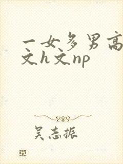 一女多男高辣h文h文np