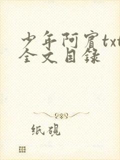 少年阿宾txt全文目录