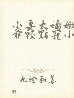 小妻太娇嫩,枭爷轻点宠小说封面