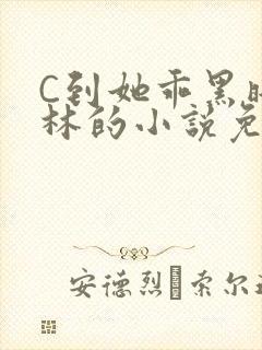 C到她乖黑暗森林的小说免费