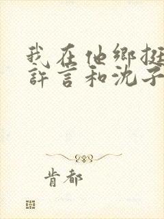 我在他乡挺好的许言和沈子畅结局封面