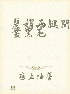 丽娟两腿间一大丛黑毛封面