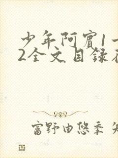 少年阿宾1一72全文目录在线封面