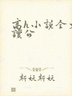 高h小说全文阅读公