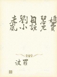 老刘日儿媳妇张岚小说免费阅读