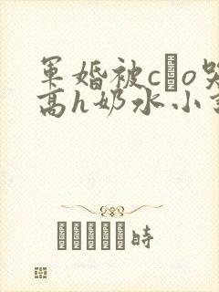 军婚被cαo哭高h奶水小说封面
