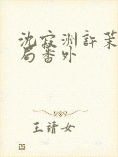 沈寂洲许茉大结局番外