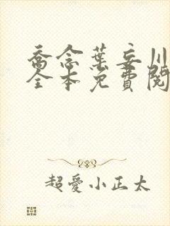 乔念叶妄川小说全本免费阅读无弹窗