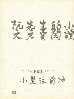 阮先生的小说全文免费阅读无弹窗