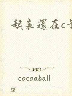 起来还在c骨科