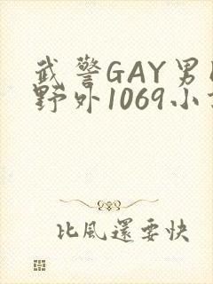 武警GAY男同野外1069小说封面