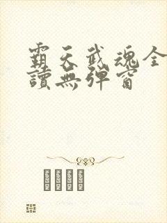 霸天武魂全文阅读无弹窗封面