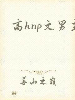 高hnp文男主封面