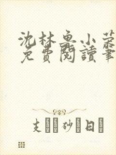沈林鲁小荣小说免费阅读笔趣阁