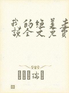 我的绝美老婆小说全文免费阅读