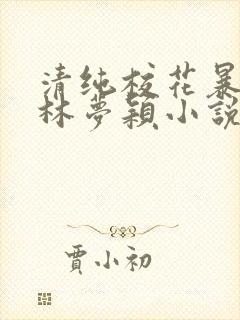 清纯校花暴露记林梦颖小说免费阅读封面