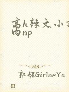 高h辣文小说纯肉np