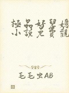 极品好儿媳秦雨小说免费观看全文阅读
