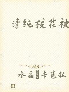 清纯校花被封面