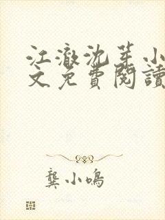 江澈沈芽小说全文免费阅读