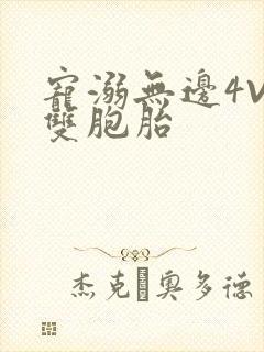 宠溺无边4V2双胞胎