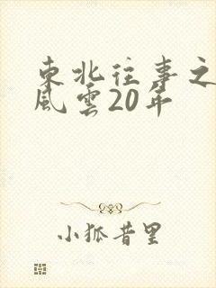 东北往事之黑道风云20年封面