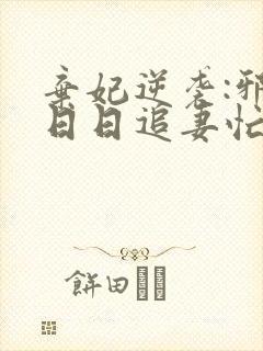 弃妃逆袭:邪王日日追妻忙全文版封面