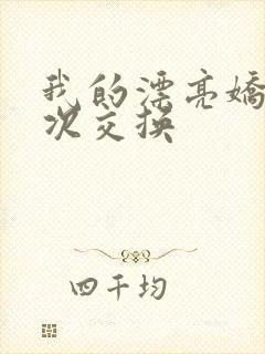 我的漂亮娇妻初次交换