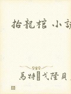抬龙棺 小说