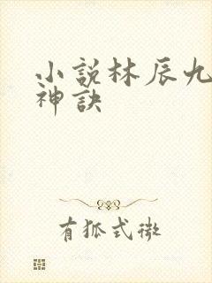 小说林辰九天斩神诀