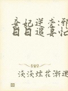 弃妃逆袭:邪王日日追妻忙小说小说封面