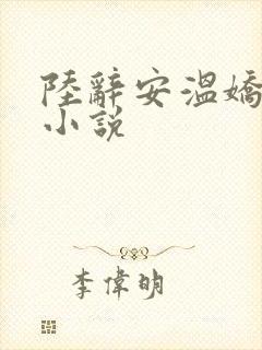 陆辞安温娇秦昭小说封面