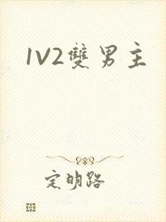 1V2双男主