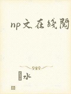 np文在线阅读封面