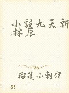 小说九天斩神诀,林辰