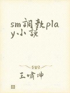 sm调教play小说